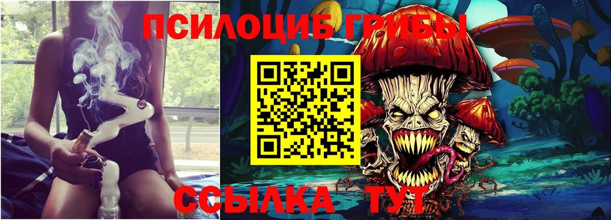 Псилоцибиновые грибы MAGIC MUSHROOMS  Вход с VPN  Кировск 
